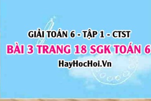 Giải bài 3 trang 18 Toán 6 Tập 1 SGK Chân trời sáng tạo